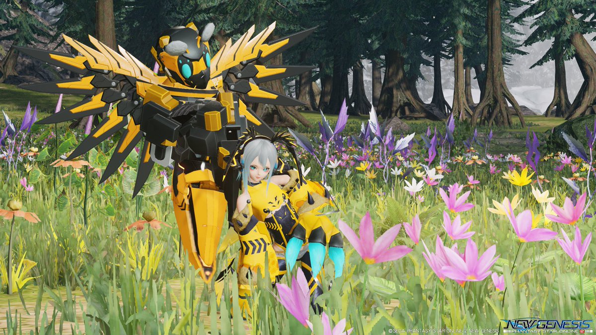 XANA_ship1_PSO2's tweet image. くまー∩(・(ェ)・)∩
のあやなん（@ayanan_tv）です♪

ずっと暑い日が続いていましたが、ようやく気温も下がり始めたように感じますね～

今日のSSは夕神さんとのハチコーデです♪
これでもアークマコーデと言い張るあやなんですｗ

#XANAメン
#PSO2NGS
#PSO2NGS_SS
#メンテの日じゃないけどSSを貼る