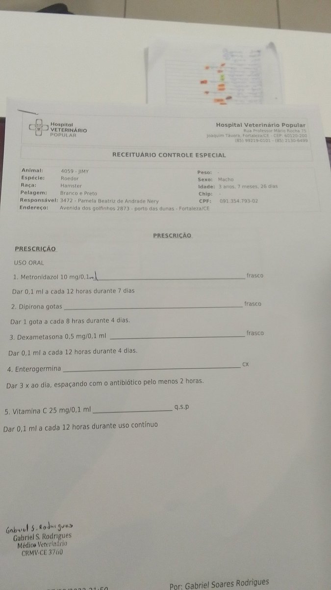 CooperBazinga1's tweet photo. @tracklist Esse é meu porquinho da india e ele está muito mal, só tem chance de sobreviver se tomar a medicação porém não tenho cm pagar já que só a consulta foi 295,00
Quem puder mandar qualquer valor esse é meu pix: 
(85) 9 8734-0607
E meu número pra contato
Pfvr me ajudem https://t.co/oLYwBN3h2s