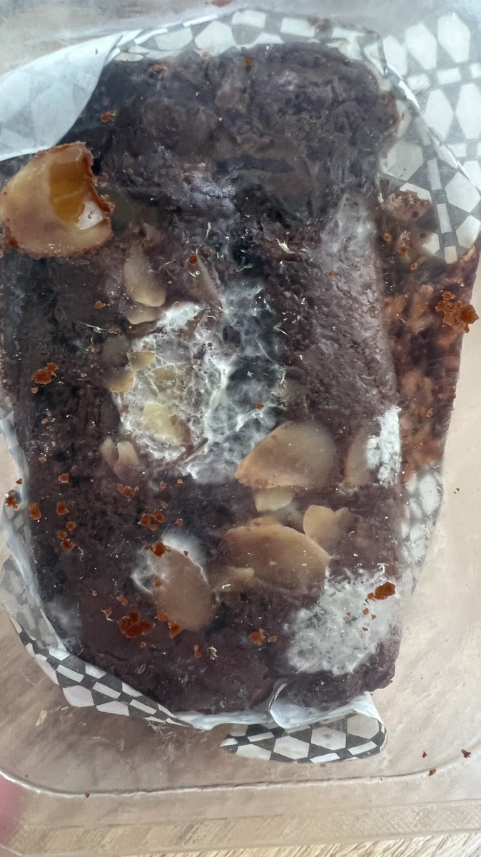 varunrulz07's tweet photo. Just received this #disgusting piece of #cake from @letsblinkit How can you guys send a fungus infested cake??? @FreshatTBD What sort of quality checks you ppl do 😡 @albinder @zomato @jagograhakjago #Gurugram #gurgaon #shocked @richa_khurana https://t.co/RClgK5cldp