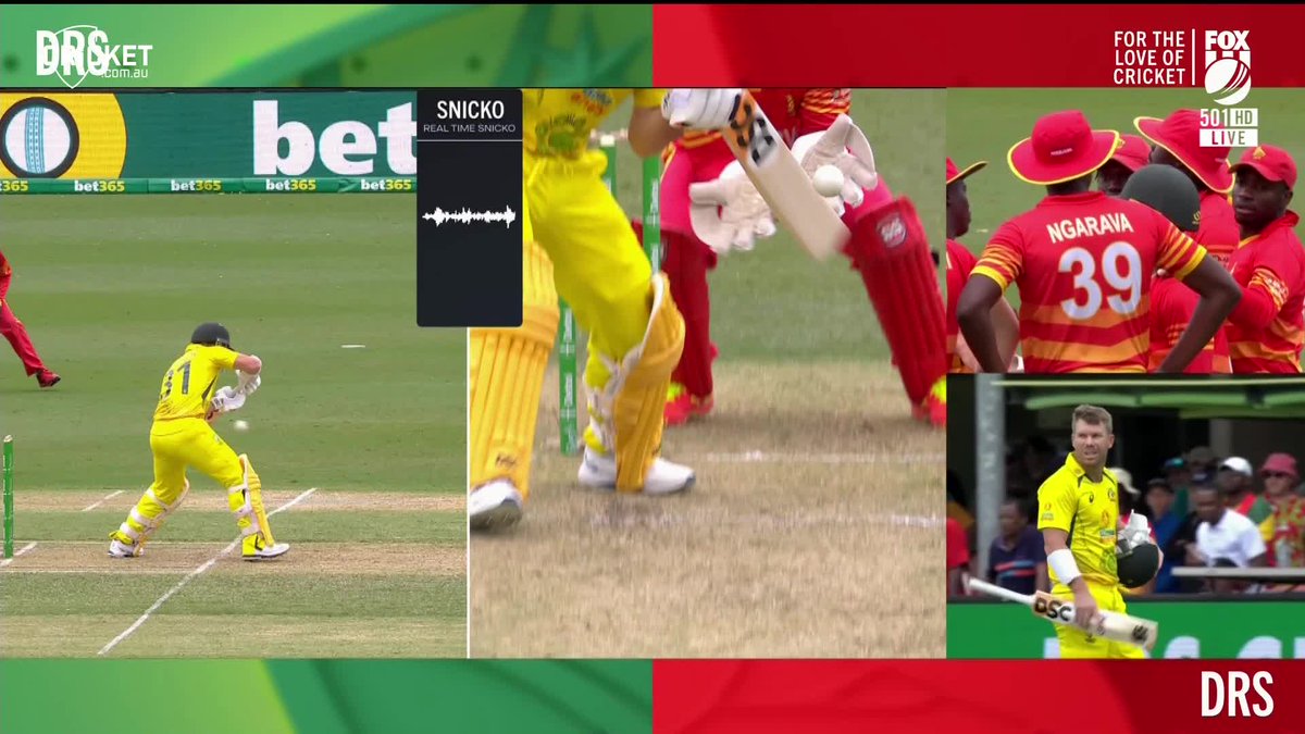 cricket.com.au tweet media