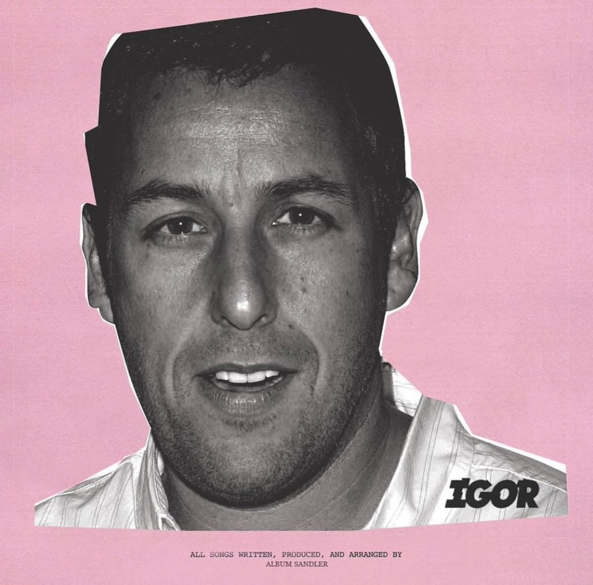 DaBaby, Playboi Carti, Tyler The Creator and Frank Ocean’s albums but with Adam Sandler