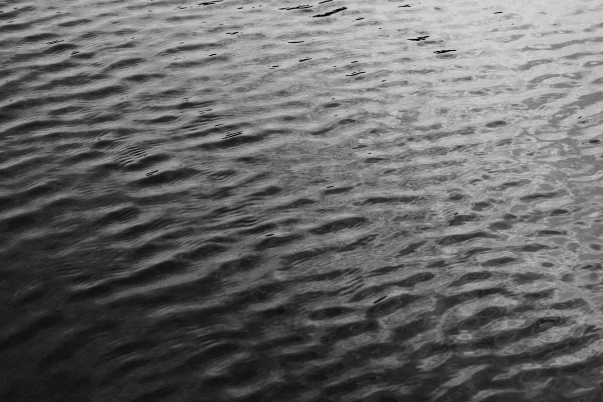 RAJPUTANAND111's tweet photo. 🌊 https://t.co/NM87boD2UH