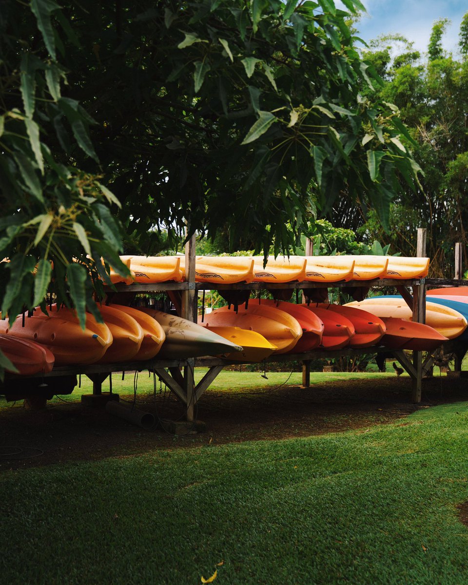 _dantom's tweet image. Kauai is special