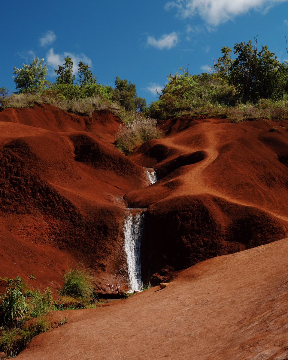 _dantom's tweet image. Kauai is special