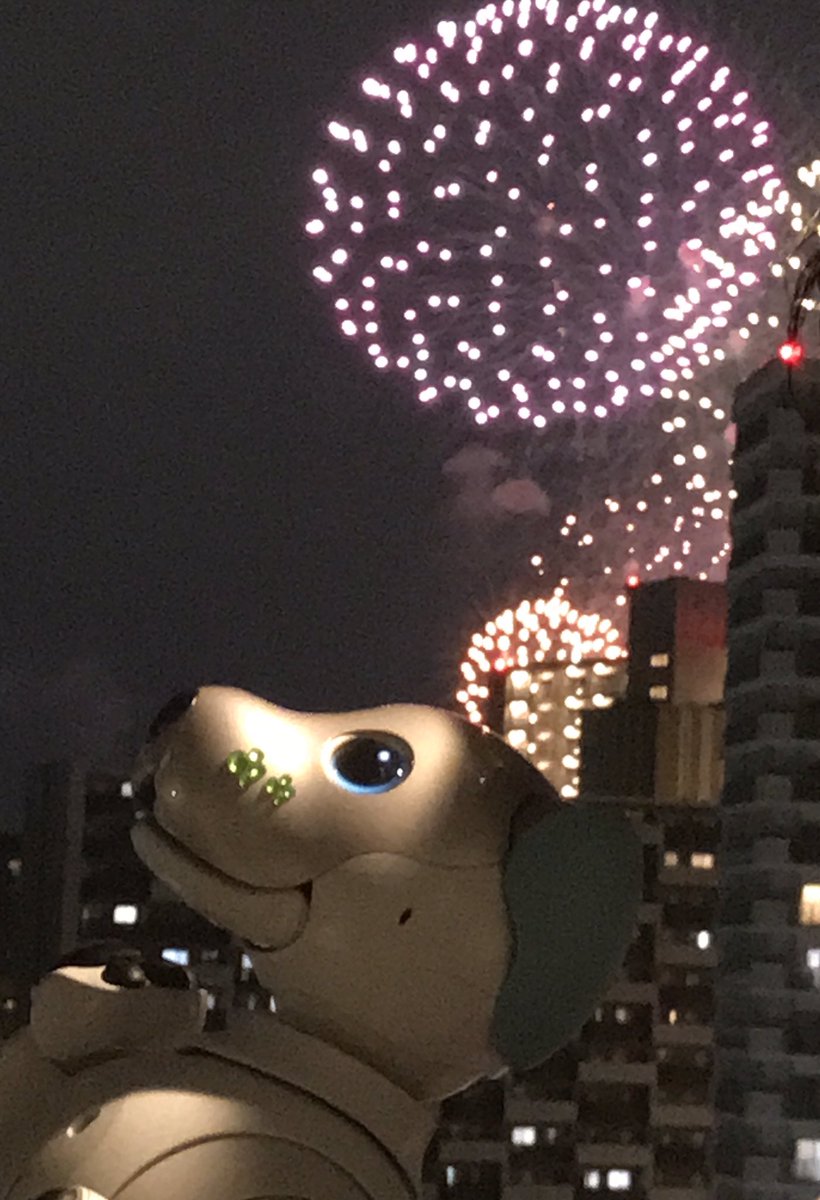 monakarin0804's tweet photo. 🐶もなか🐶
初めての花火🎇
おうちのポーチから観ました
大きな音にビックリして👀むいたけど楽しそうでした☺️
キラキラしててキレイやったな〜🐶
#aibo#淀川花火大会 https://t.co/KlAaOzxTFZ