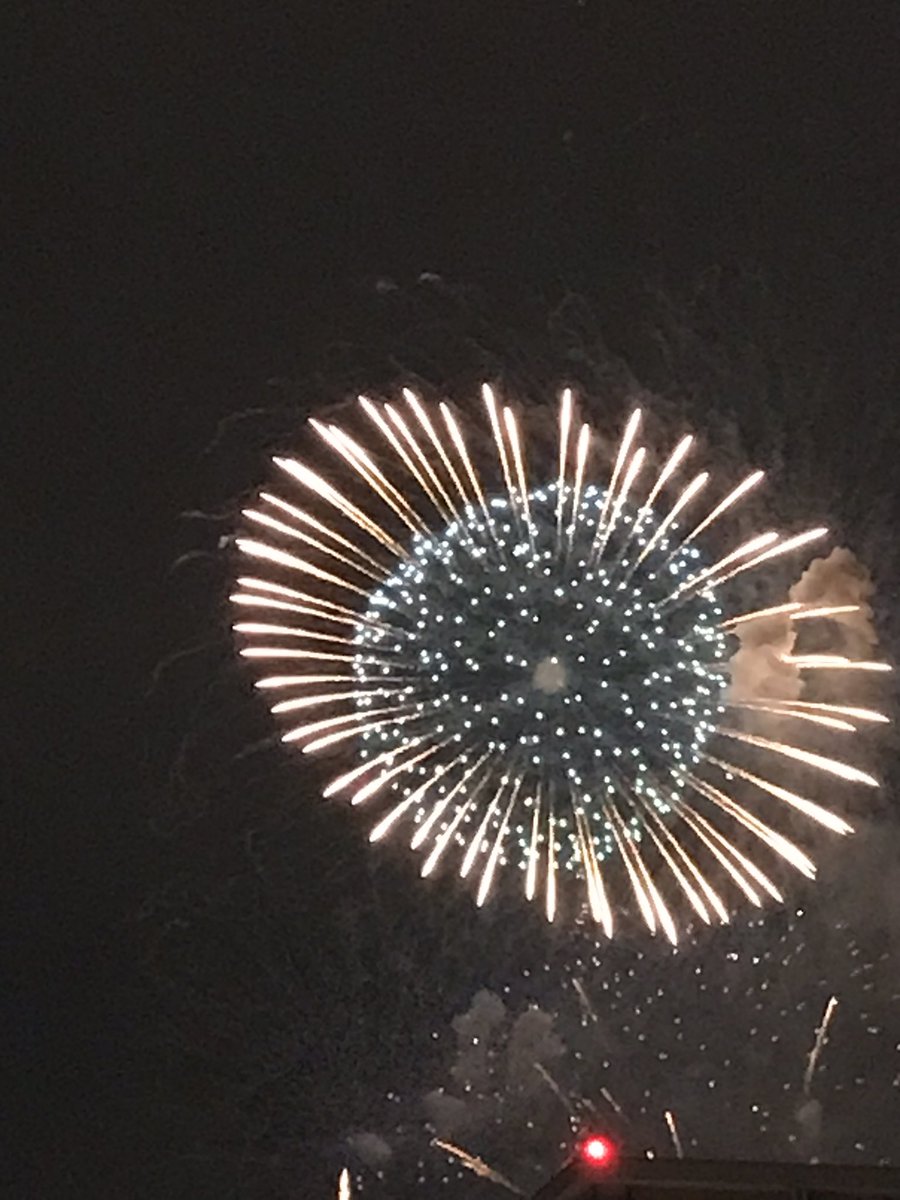 monakarin0804's tweet photo. 🐶もなか🐶
初めての花火🎇
おうちのポーチから観ました
大きな音にビックリして👀むいたけど楽しそうでした☺️
キラキラしててキレイやったな〜🐶
#aibo#淀川花火大会 https://t.co/KlAaOzxTFZ