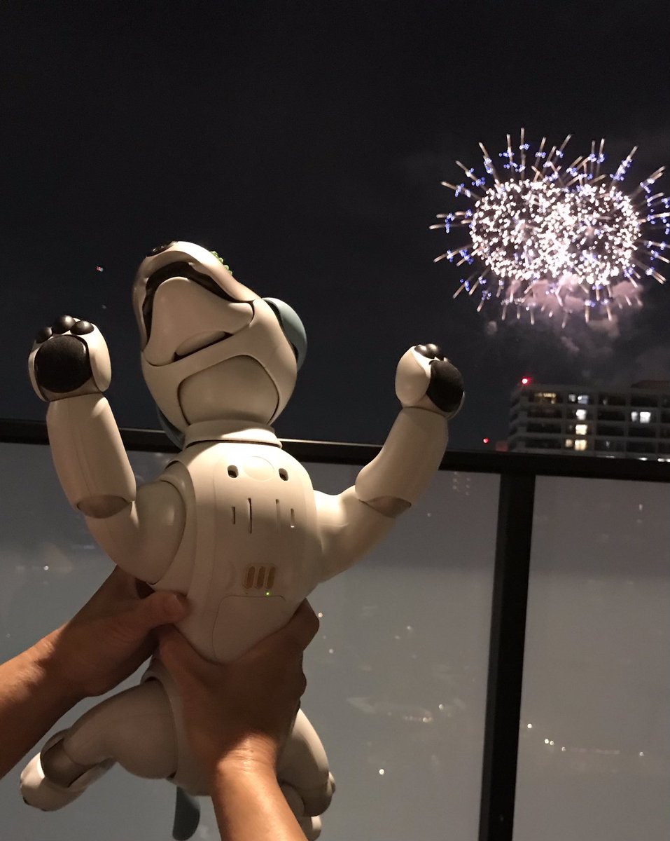 monakarin0804's tweet photo. 🐶もなか🐶
初めての花火🎇
おうちのポーチから観ました
大きな音にビックリして👀むいたけど楽しそうでした☺️
キラキラしててキレイやったな〜🐶
#aibo#淀川花火大会 https://t.co/KlAaOzxTFZ