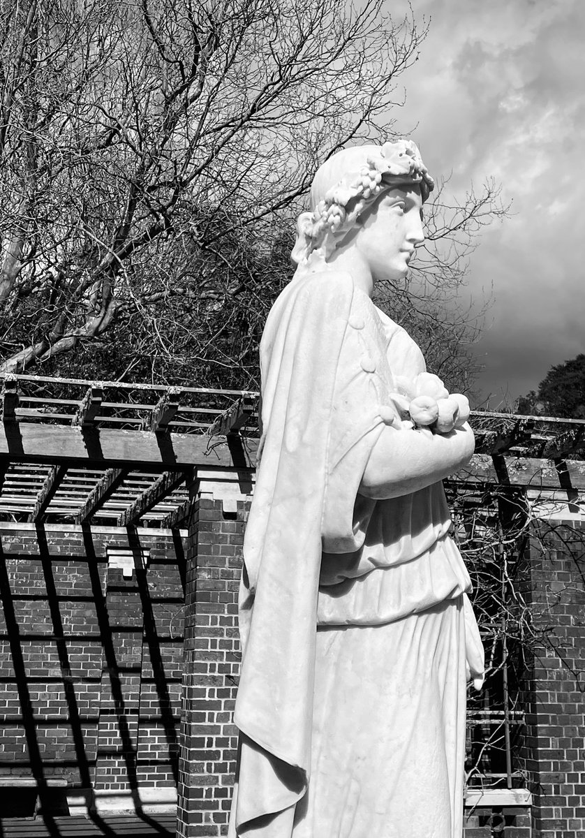 NatashaBarret18's tweet photo. Cool tranquility in the Fernery at Auckland Domain 🌴
#fernery #Auckland #AucklandDomain #Domain #urbanwalks #ferns #statues https://t.co/j4lP0eKYRD
