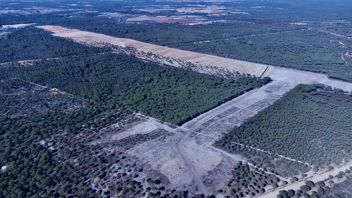 CEUS_Huelva's tweet photo. El @CEUS_Huelva despeja el terreno para la pista de aterrizaje y el primer hangar

Hasta marzo 2023 el INTA tiene de plazo para construir los edificios.

@huelva_info @oscarlezameta65 
@intaespana 
https://t.co/j1SmnkotjD https://t.co/nEUxoiHIlp