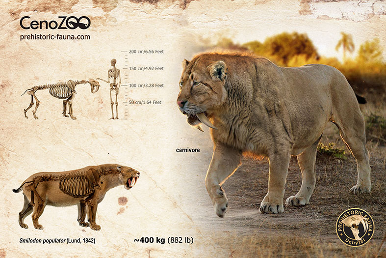 Prehistoric.Fauna on Twitter 