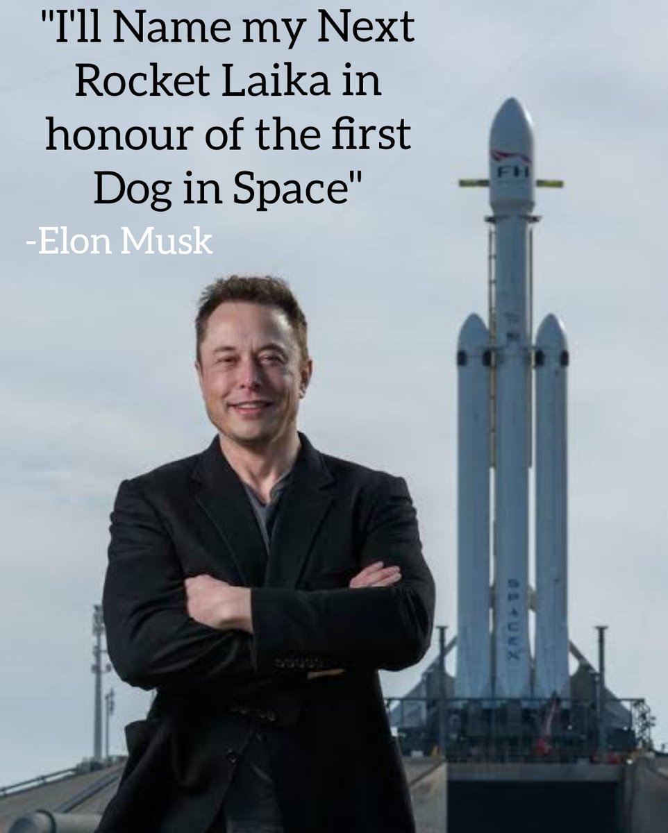 Jaffawillis's tweet photo. @elonmusk What are your thoughts on Animals and space , are we taking them to Mars ? https://t.co/Kwq7kFiJXB