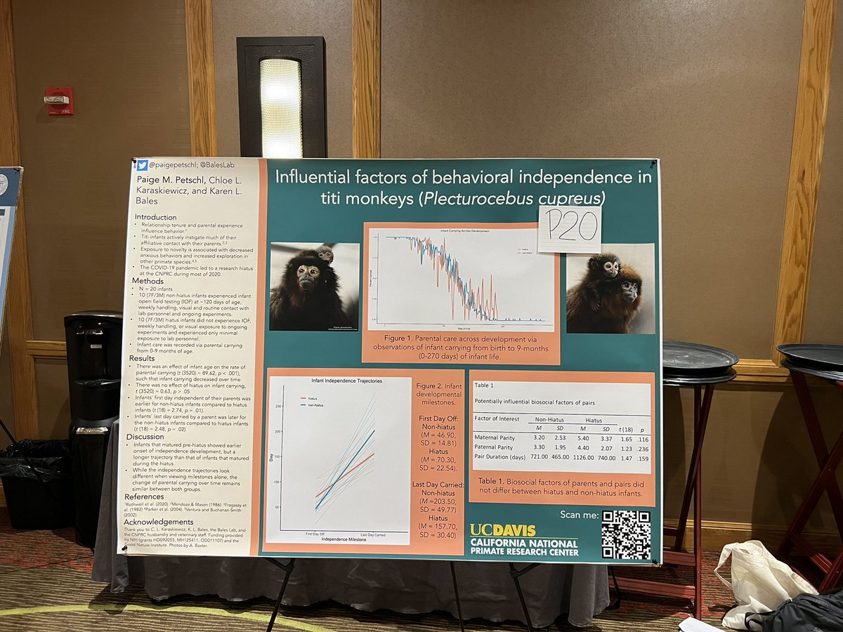 Paige Petschl tweet media