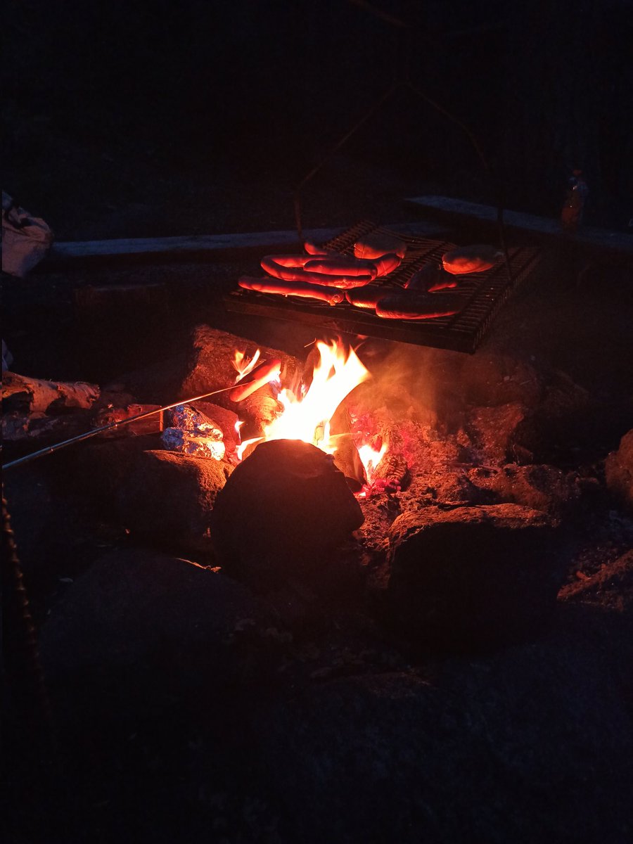 FallFey's tweet photo. Last night we slept outside, very cozy even though it rained during the night https://t.co/AEhAzoYZUF
