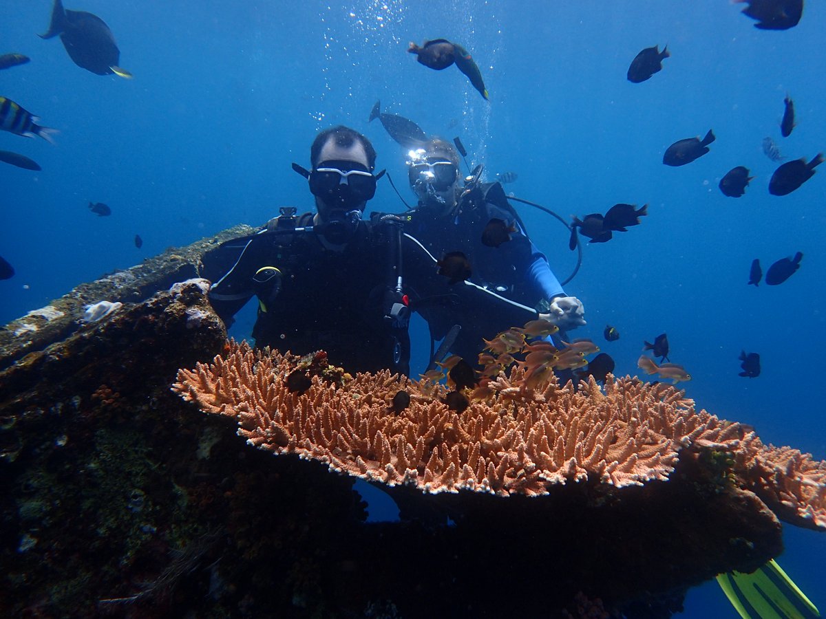 enadive's tweet photo. Come and dive with us https://t.co/HnQv5WaDgS #scuba #scubadiving #divingtrip #balidiving #snorkeling #snorkelingtrip #deepdive #wreckdive #nightdive https://t.co/FiWmzvzfom