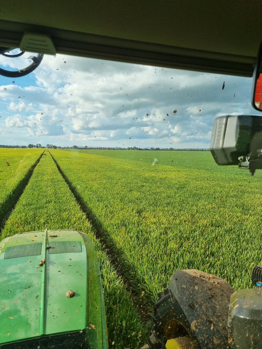 Broden holland tweet media