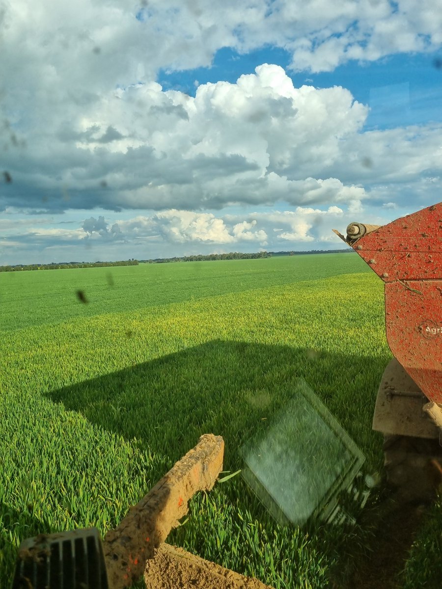 Broden holland tweet media