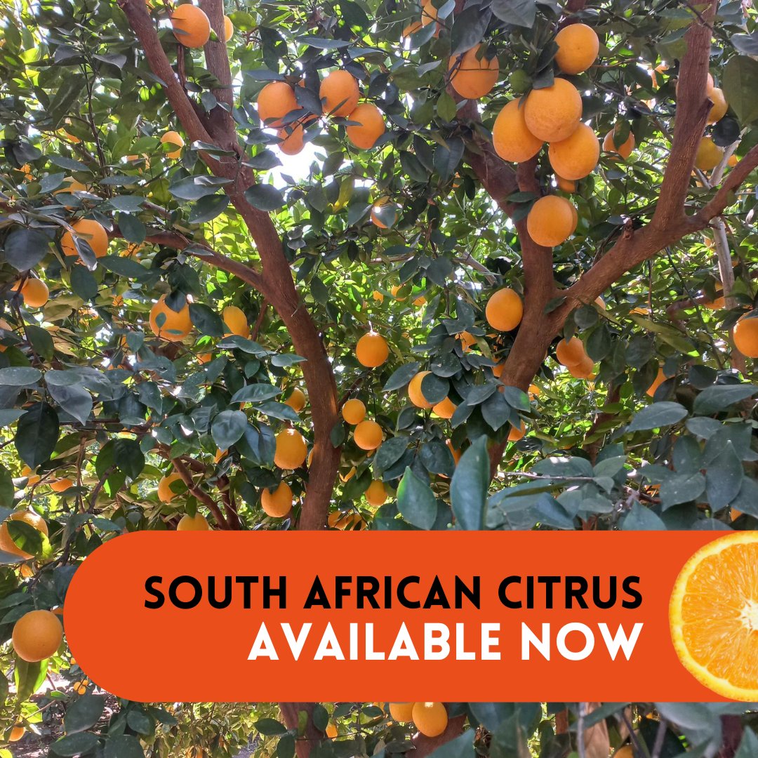 Jupiter Group tweet media