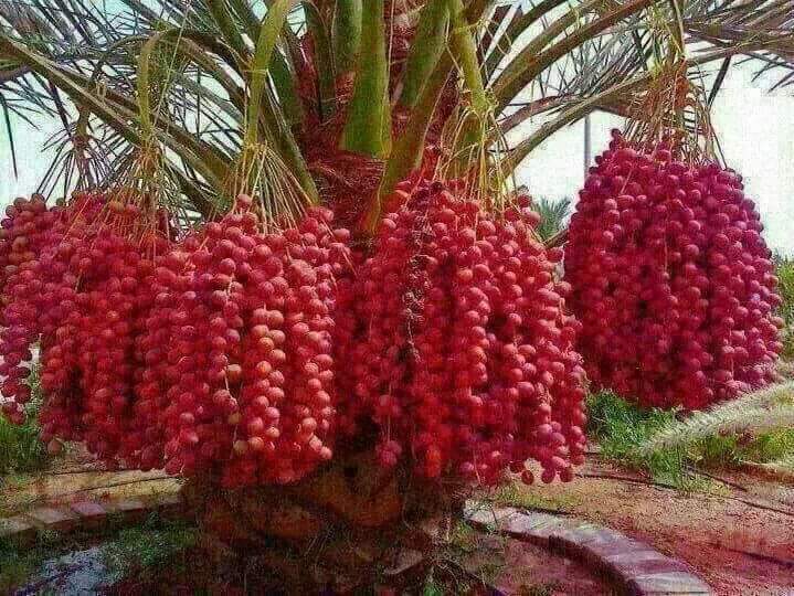 MANISUPRA2's tweet photo. https://t.co/3anUXtoR9E