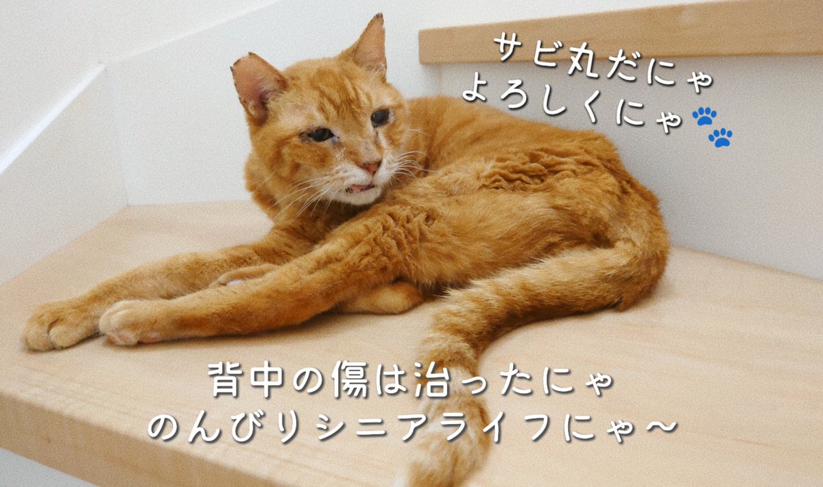 白黒ダンス tweet media