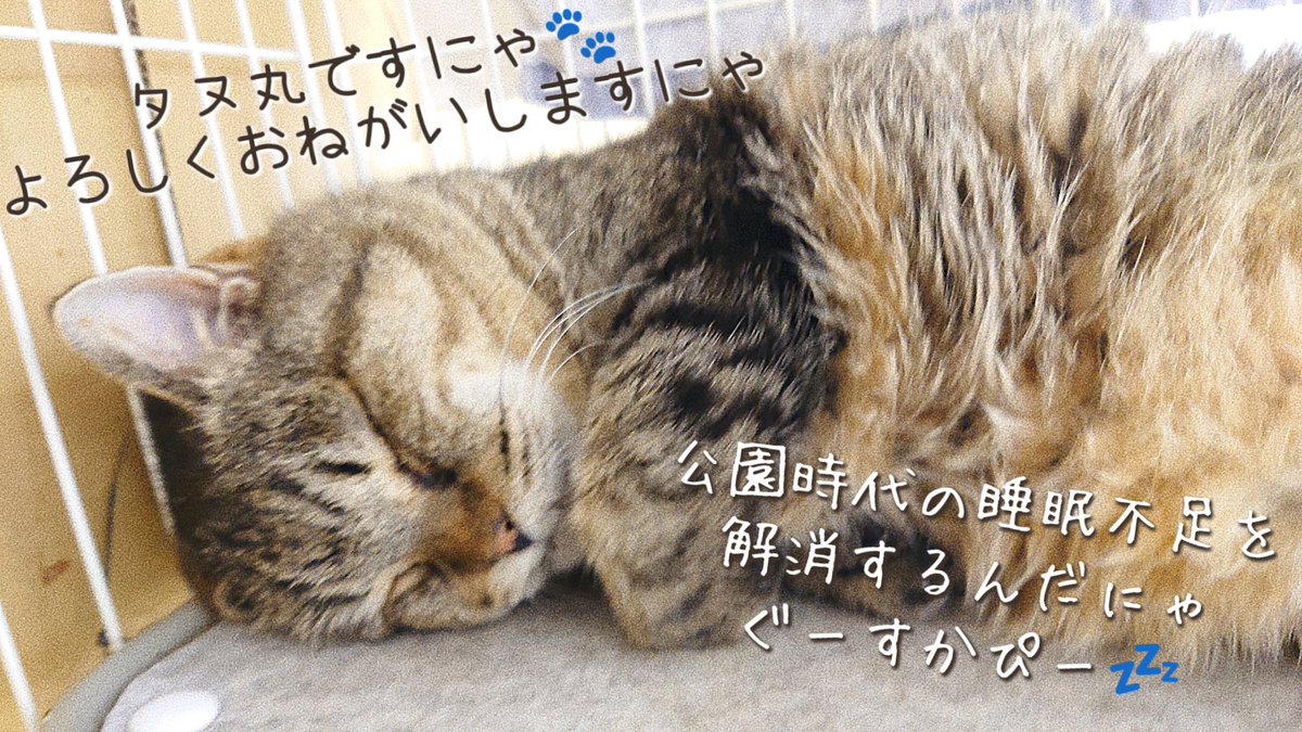 白黒ダンス tweet media
