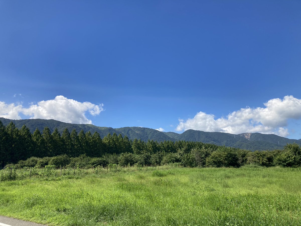 メタセコイア並木 のtwitterリアルタイム検索結果 Meyou ミーユー