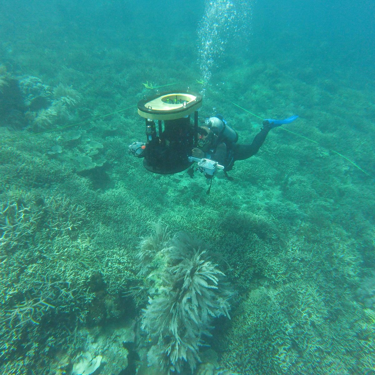4D-REEF (@4d_reef) on Twitter photo Finally in the warm water! So excited of operating the HyperDiver in its natural habitat - in reefs of Spermonde, Indonesia. Using spectral AI, <a href="/DanielSchurholz/">Daniel Schurholz</a> aims at creating habitat maps across depth and turbidity gradients in 6 islands. #fieldwork Stay tuned! Finally in the warm water! So excited of operating the HyperDiver in its natural habitat - in reefs of Spermonde, Indonesia. Using spectral AI, <a href="/DanielSchurholz/">Daniel Schurholz</a> aims at creating habitat maps across depth and turbidity gradients in 6 islands. #fieldwork Stay tuned!