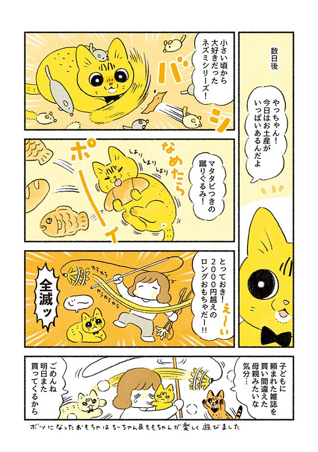 子猫の頃は、どんなおもちゃでも遊んでくれたのに…? 飼い主の苦悩に「あるある」 https://t.co/2YU9eiemEC @grapeejpより 