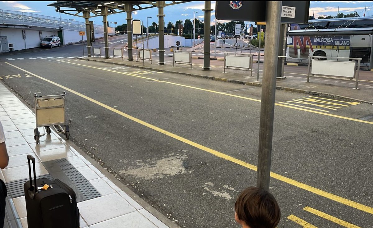 Selvaggia Lucarelli tweet media