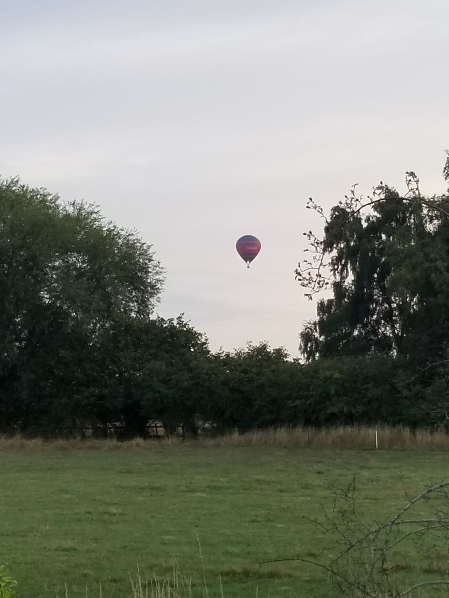 CarysGAuthor's tweet photo. Balloon spotting this morning ♥️ #telford #TelfordBalloonFiesta #bratton #shropshire https://t.co/R8P2G4NLH8