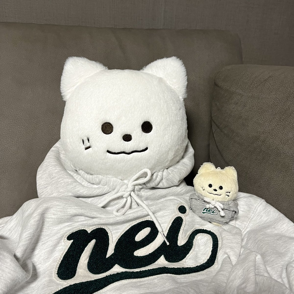 Preallaround's tweet photo. [🇹🇭 Survey] Wangjjabin 40cm 
BY @mozzabinnie

❌ปิด 5/9/65 ❌

✨ราคา 1350 ปรับราคาตามที่มาสเปิดพรีอีกครั้ง
✨รอบสองค่าส่ง
✅ยังไม่ต้องจ่ายเงิน
🛒ฟอร์ม https://t.co/hWroQh8Hzd

#ตลาดนัดastro #อะโรฮ่าเซ็นเตอร์ #preallอรฮ #ตุ๊กตาastro #moonbindoll #ตุ๊กตามุนบิน #MOONBIN https://t.co/spj6WjuujU