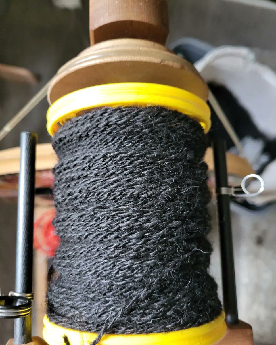 NicholsJuniper's tweet photo. From fleece to cardi... Well some of it.
Spun some more yesterday to finish a cropped cardigan of Alpaca and Merino
#fromfleecetoyarn #yarnspinning #yarnspinnersofinstagram #woolspinning #woolspinnersofinstagram #knitting #wool #yarn #alpaca #spinningwheel #ashfordspinningwheel https://t.co/Z3dFMtXLRM