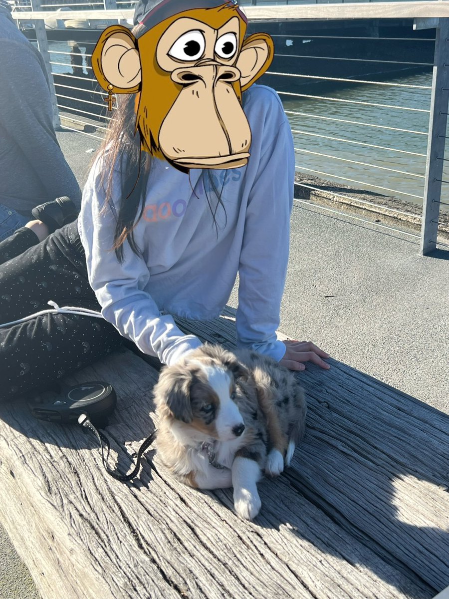 0xJetski's tweet photo. A beautiful Sunday here. My kiddo and puppy together. 🌞

 @BoredApeYC https://t.co/WvmcEfHGmn