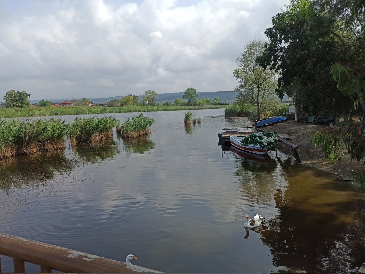 Bariskan (@bariskano) on Twitter photo 