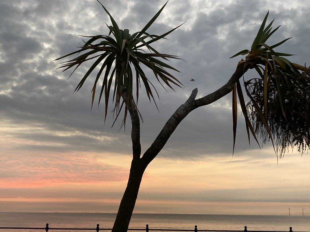 Fch70's tweet photo. Beautiful sunrise from Richards bench this morning on his 2nd anniversary away from us. Still missed every day x https://t.co/L7d1yCuuxq