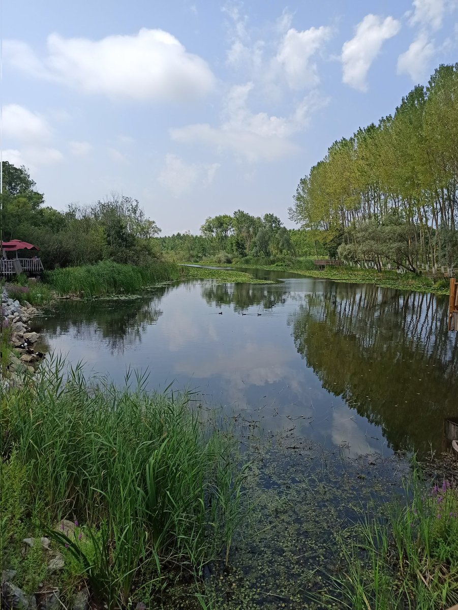 Bariskan (@bariskano) on Twitter photo 