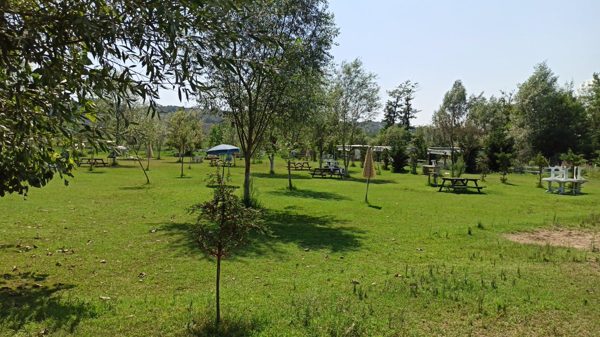 Bariskan (@bariskano) on Twitter photo 