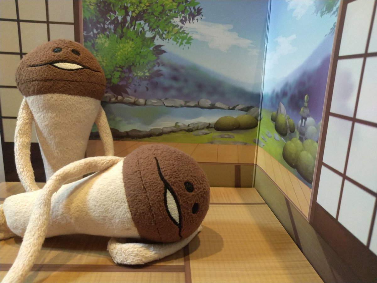 なめこ部屋が出来ました