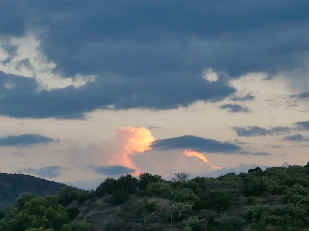 evila_orta's tweet photo. Segons quins dies,  el vent arribava carregat de núvols que empenyien el cel i el feien recular; però el cel, tossut, tornava sempre al seu lloc: blau, clapat de fulles,  ratllat de branques: un cel perdut més enllà de les parets coronades de vidres trencats.

Mercè Rodoreda https://t.co/9b4Biu2JlH