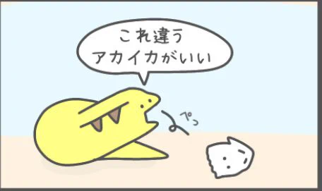 2日連続で投稿しましたが次は1週間後になります🐳

画像はお気に入りのわがままウツボです https://t.co/ms0cFarF3O 