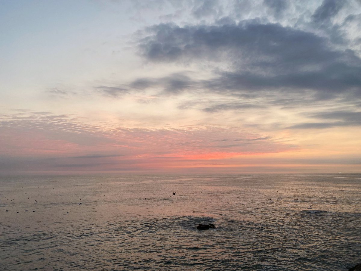 laine thompson tweet media