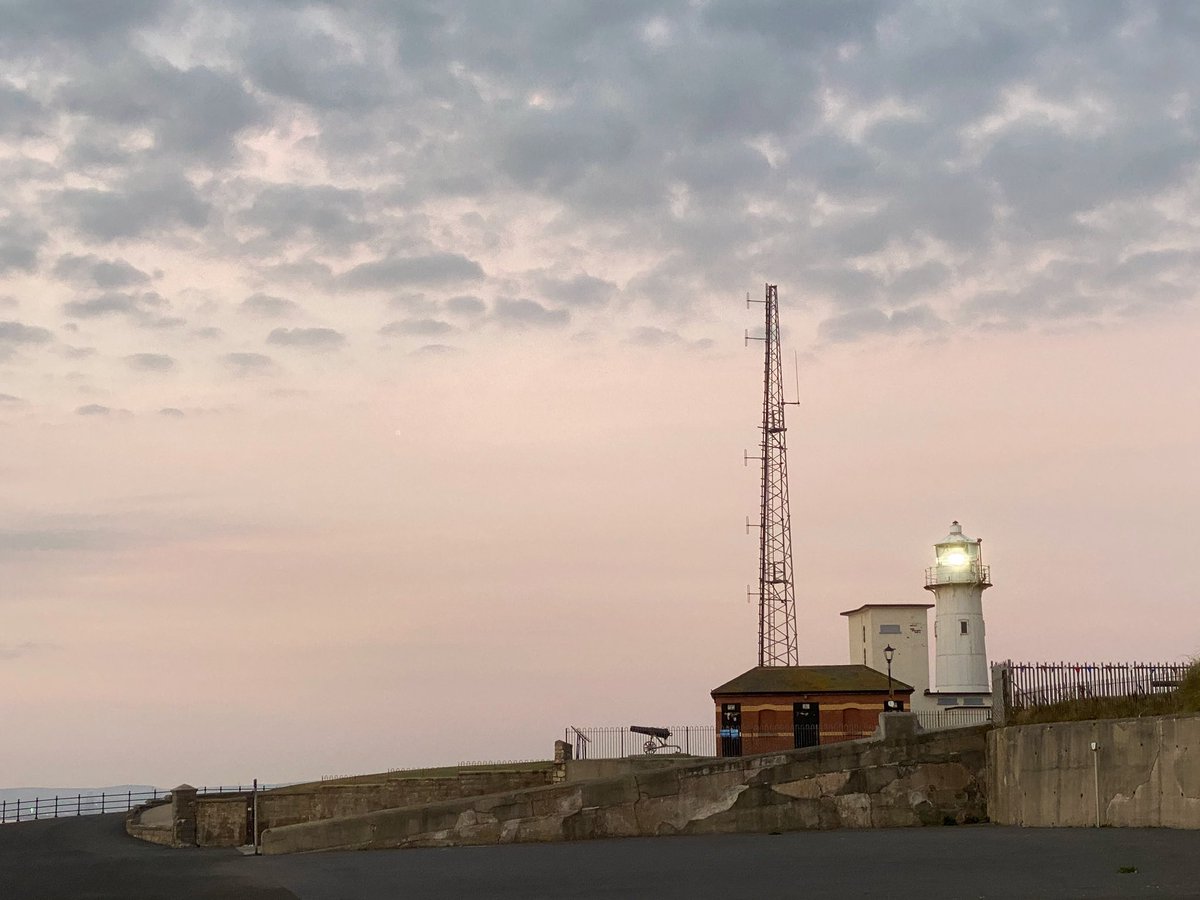 laine thompson tweet media