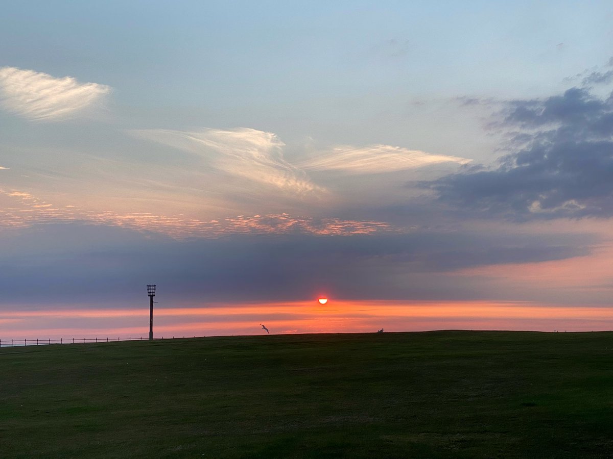 laine thompson tweet media