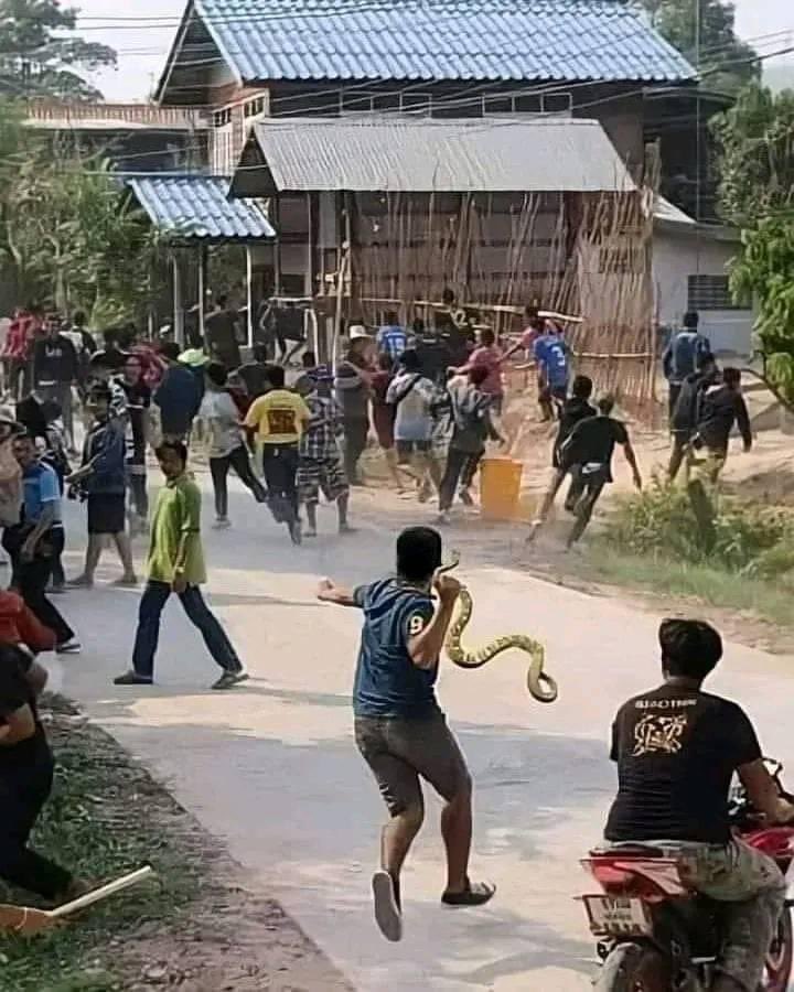 ทำลายฮอครัช