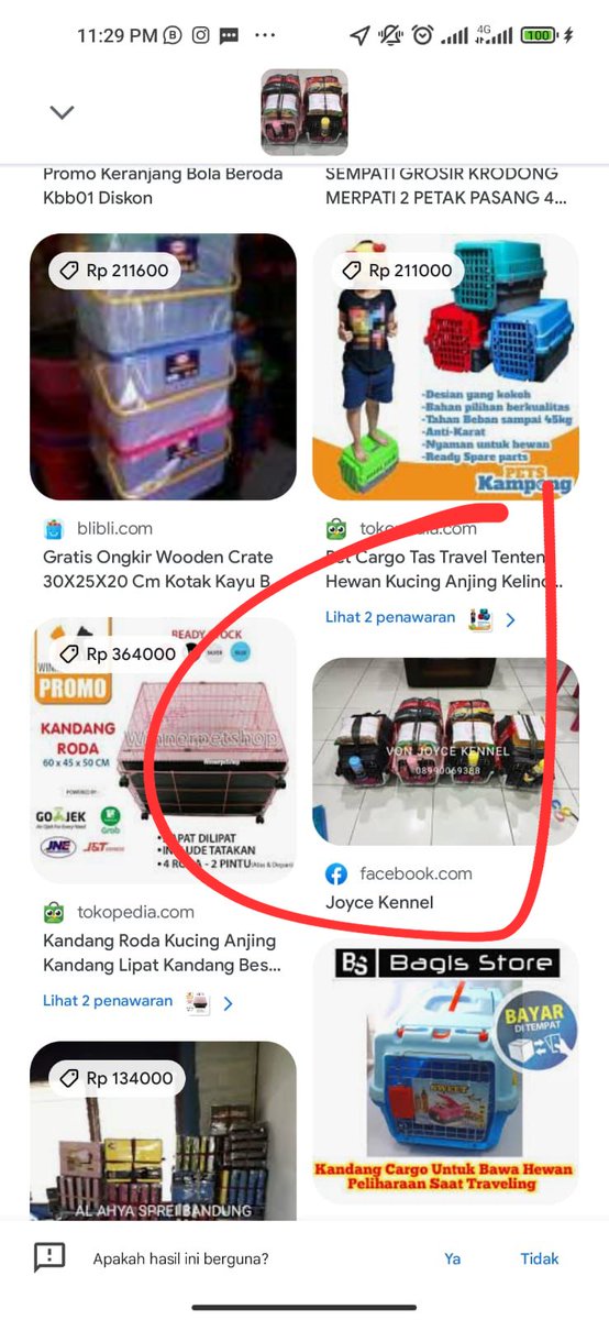 JaneJurassic's tweet photo. (5) Trus si Ta**tha sama Tas** (temenku) sebenernya udah ragu cuman krn tau itu temenku jadi mereka tf, setelah dicari tau, si Ta**tha akhirnya ketemu gambar yang sama dari google langsung disitu curiga parah, dan takut banget, akhirnya minta refund, lngsng aku kasih tau si Tas** https://t.co/xKDbwARwfI