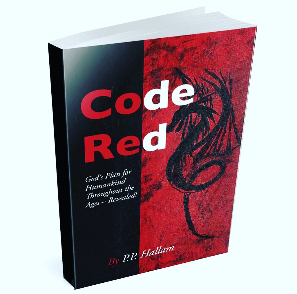 PPHallam's tweet image. Code Red is available directly from lighthousecc.co.uk or via Amazon. If ever there’s a book for the moment , this is it ! #codered #coderedbook #greatreset