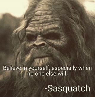 Leapin Lizard🦎 (@leapin_lizard) on Twitter photo 