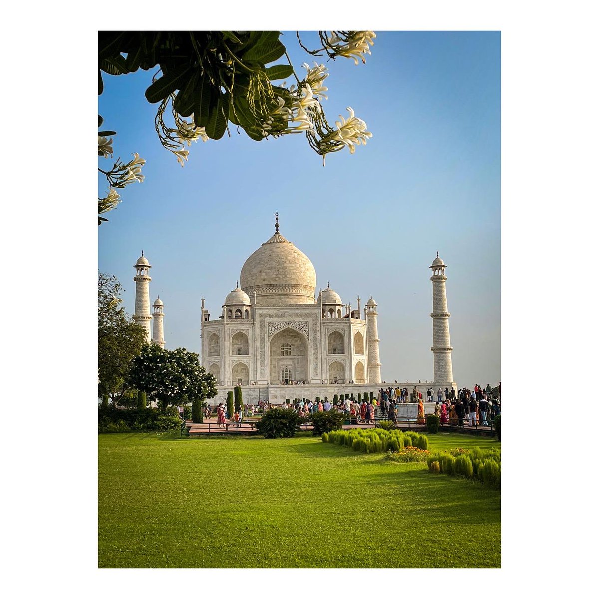 You beauty😍
#TajMahal  #agra  #IncredibleIndia
