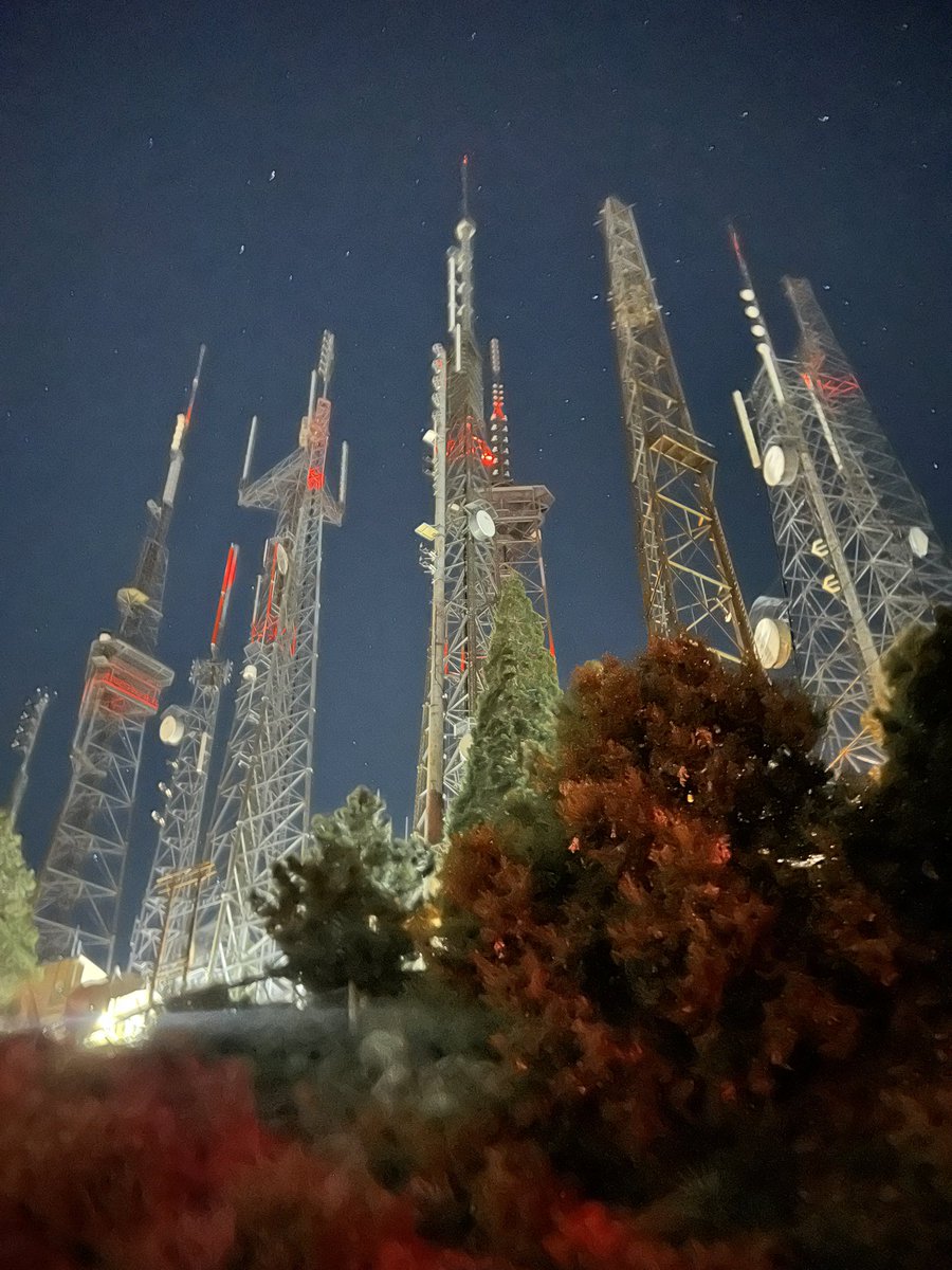 tougeshrk's tweet image. Mt Willy