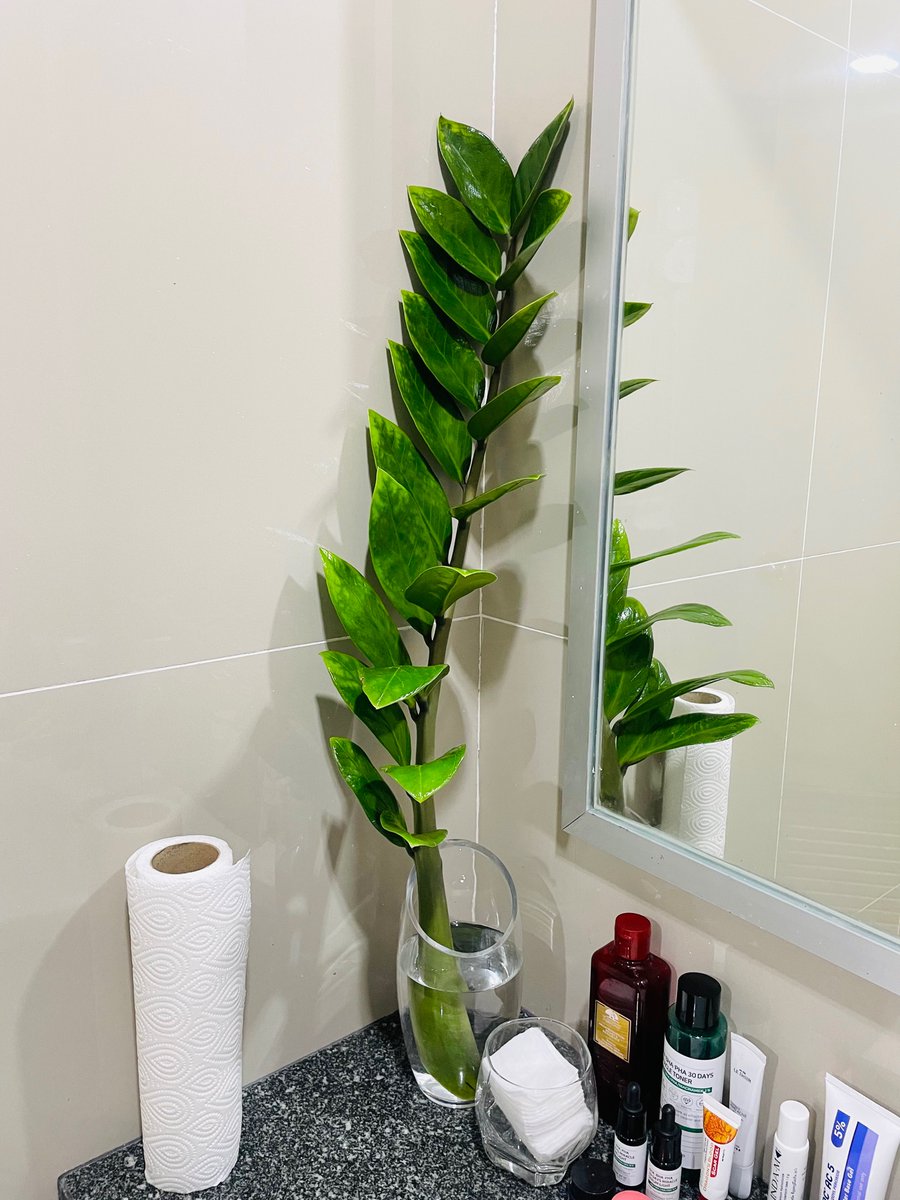 Skch_s's tweet photo. @kkmylivebkk_bi ชอบด้วยครับ https://t.co/5ucT6iuol6