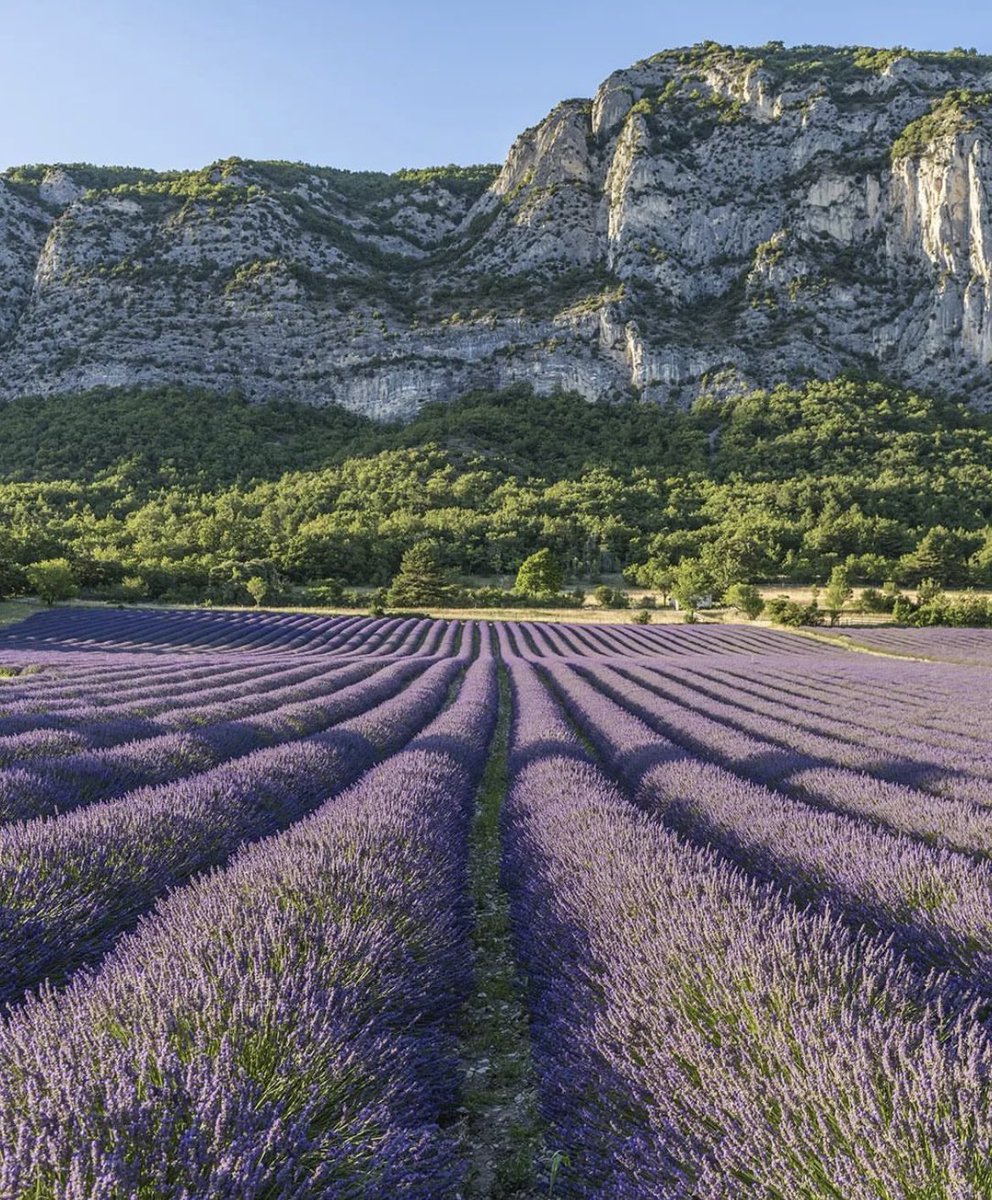 LMPositif's tweet photo. 🇫🇷 Magnifique photo de Saou dans la Drôme !
☀️ Très bonne journée à tous ! 🍀 💛

📸 max_de_patrimoine https://t.co/ndzF2kSnGK